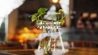 查看大图