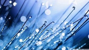 查看大图