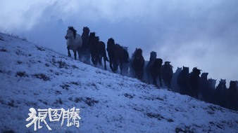 查看大图