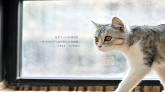 查看大图