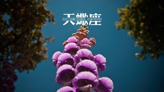 查看大图