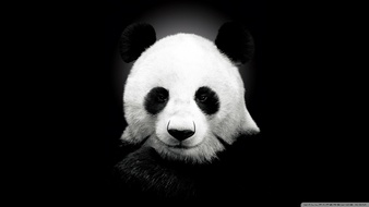 查看大图