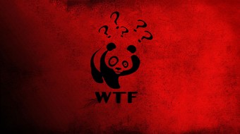 查看大图