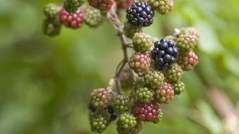 查看大图