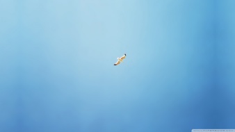 查看大图