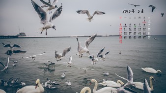 查看大图