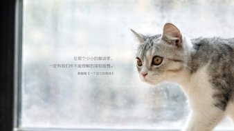 查看大图