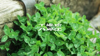 查看大图