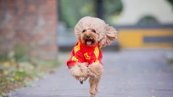查看大图