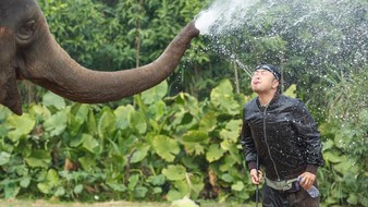 查看大图