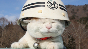 查看大图