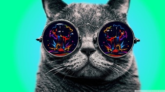 查看大图