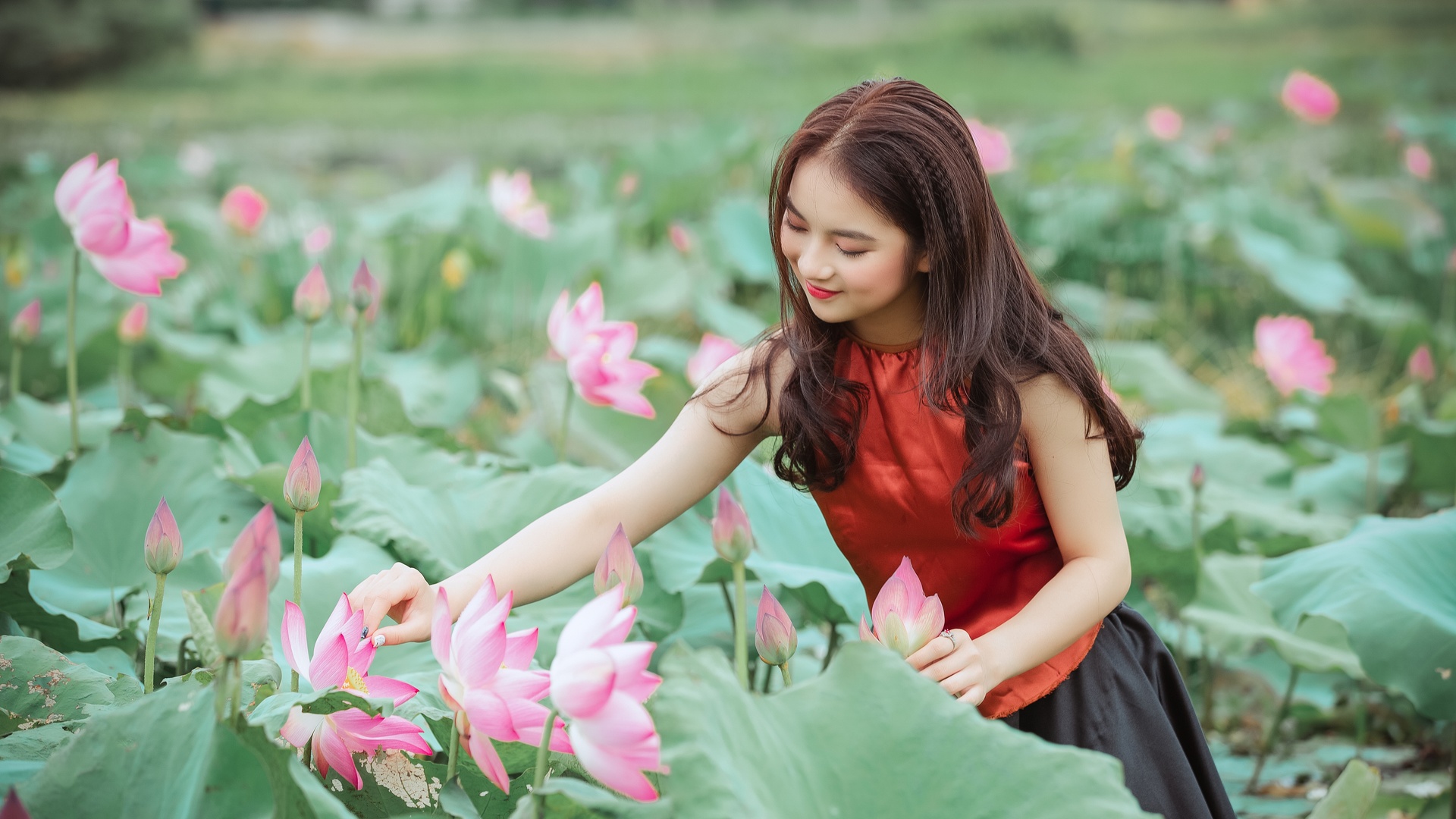 荷花可爱美丽美女5k壁纸壁纸荷花壁纸图片 桌面壁纸图片 壁纸下载 元气壁纸