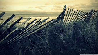 点击鼠标右键即可保存