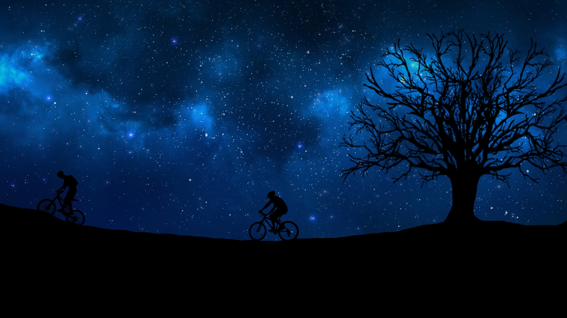 骑自行车夜树星空4k壁纸壁纸骑自行车壁纸图片 桌面壁纸图片 壁纸下载 元气壁纸