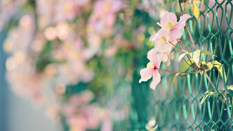 点击鼠标右键即可保存