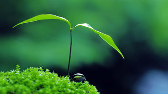 点击鼠标右键即可保存