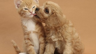 点击鼠标右键即可保存