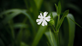 点击鼠标右键即可保存