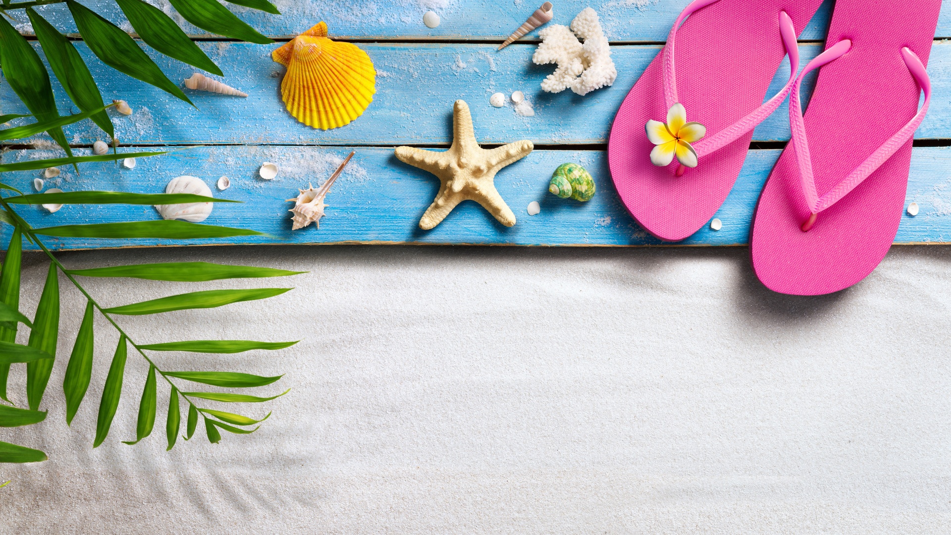 夏天 沙滩 贝壳 海星 沙子壁纸夏天壁纸图片_桌面壁纸图片_壁纸下载