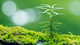 点击鼠标右键即可保存