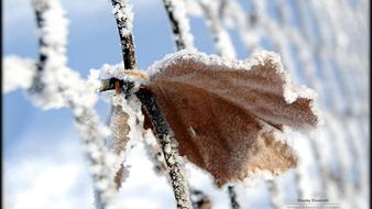 点击鼠标右键即可保存