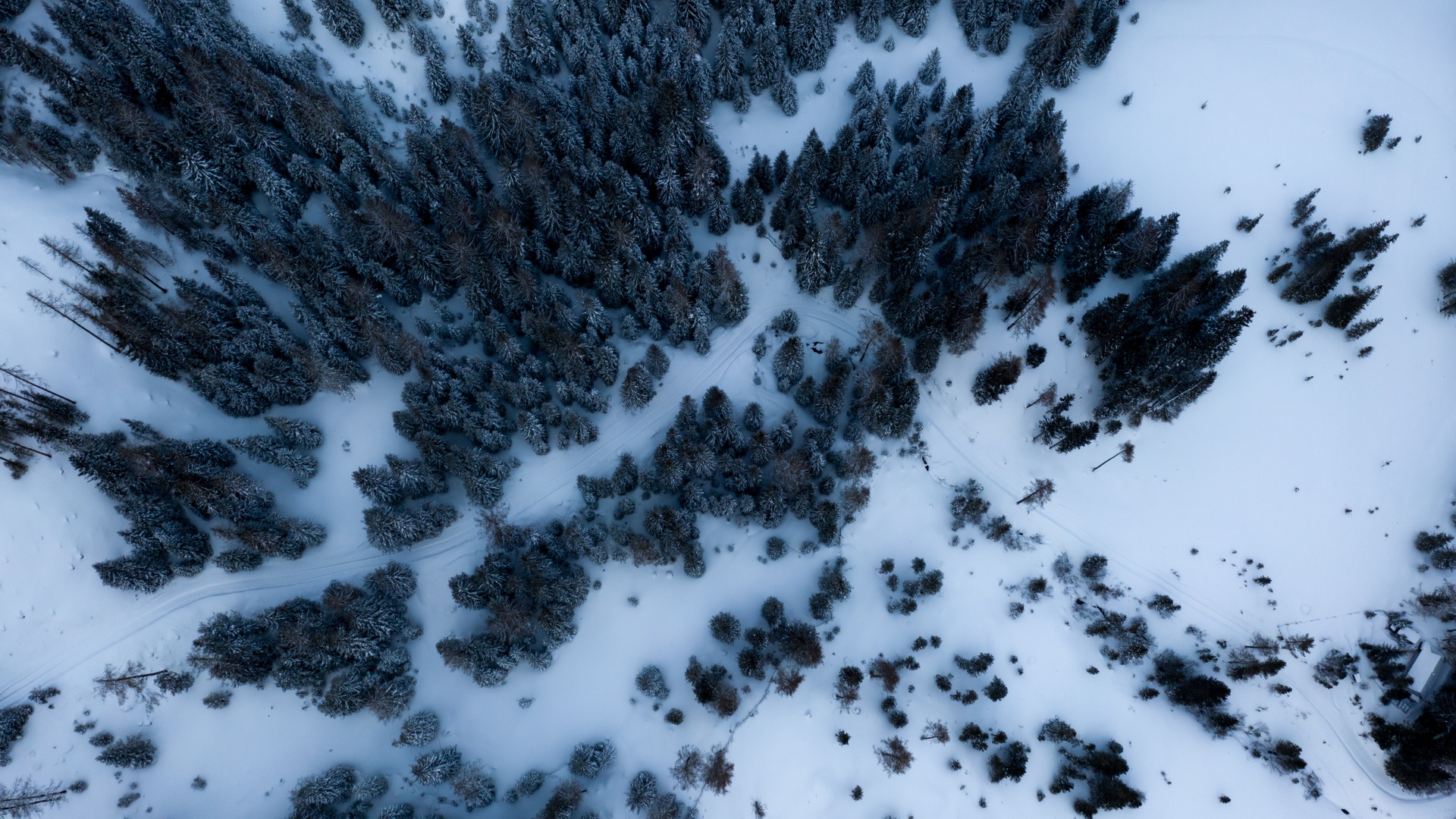 冬天雪壁纸 23 冬天壁纸图片 桌面壁纸图片 壁纸下载 元气壁纸