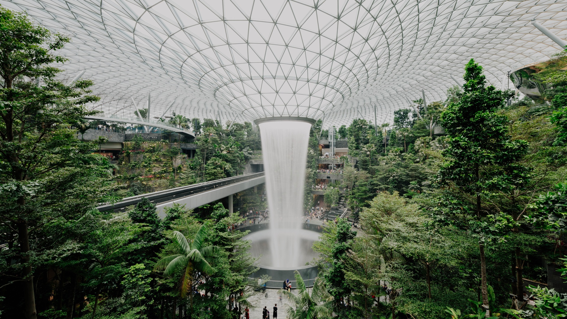 绿色花草树木壁纸 3 绿色壁纸图片 桌面壁纸图片 壁纸下载 元气壁纸