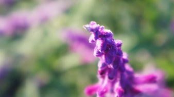 点击鼠标右键即可保存