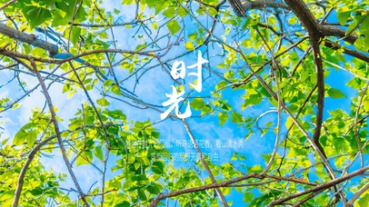 绿色文字控时光美景大鱼4k