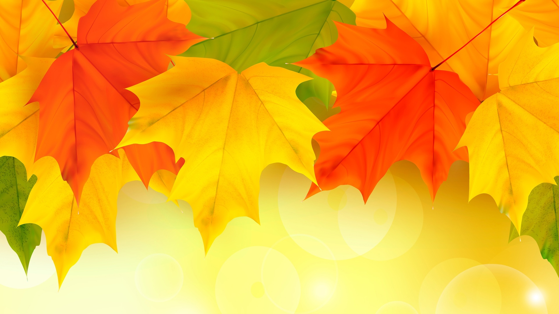 缤纷多彩秋天枫叶背景壁纸壁纸缤纷多彩壁纸图片 桌面壁纸图片 壁纸下载 元气壁纸