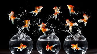 点击鼠标右键即可保存