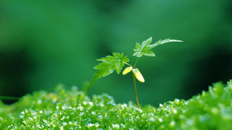 点击鼠标右键即可保存