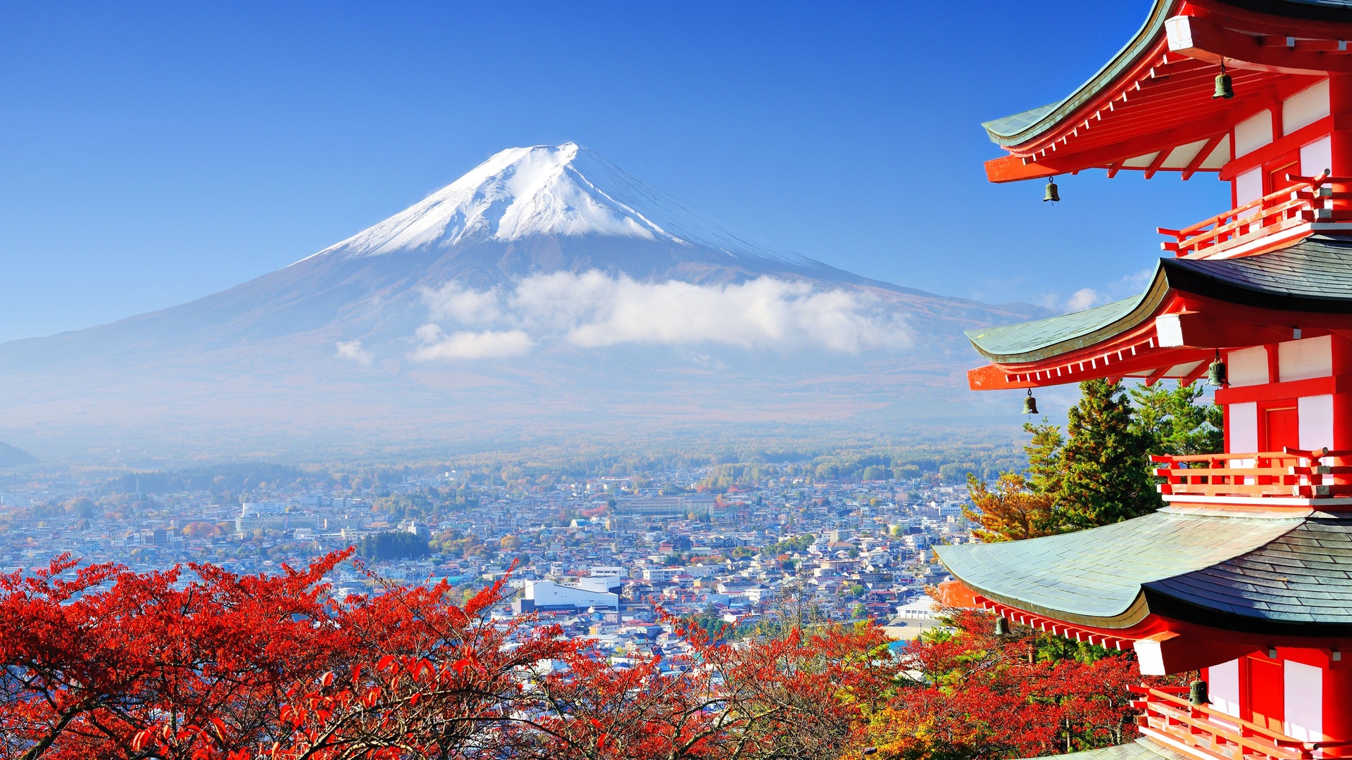 日本富士山楼阁樱花4k专区壁纸日本壁纸图片 桌面壁纸图片 壁纸下载 元气壁纸