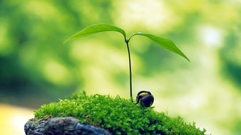 点击鼠标右键即可保存