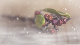 点击鼠标右键即可保存