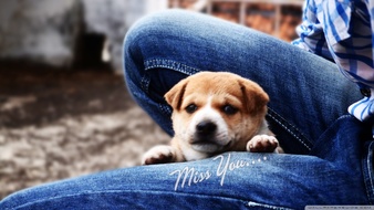 点击鼠标右键即可保存