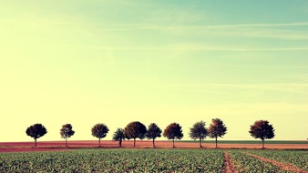 点击鼠标右键即可保存