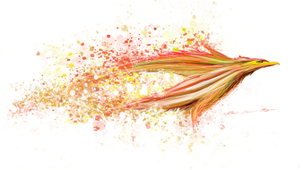 点击鼠标右键即可保存