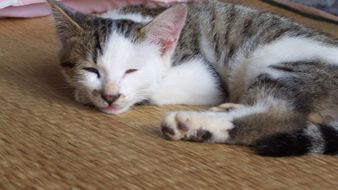 点击鼠标右键即可保存