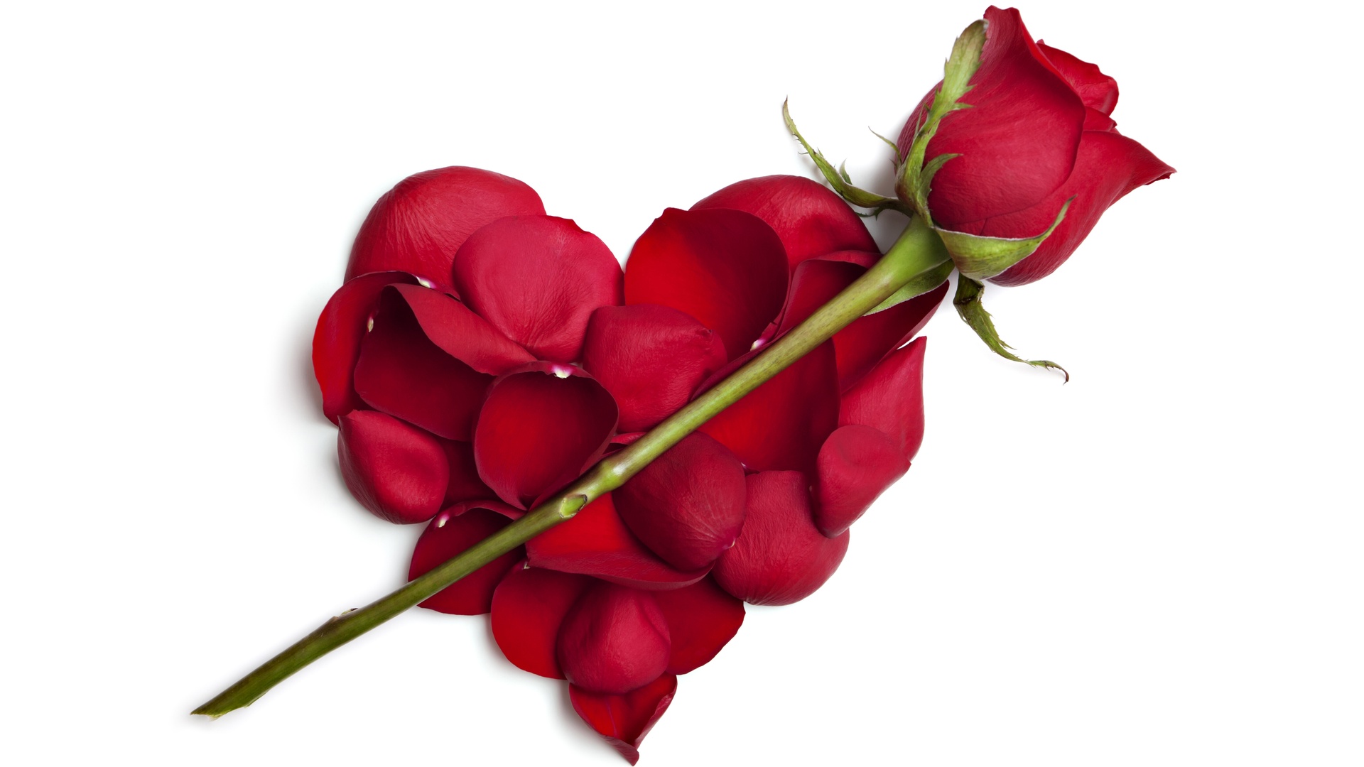 红色玫瑰拼成的爱心
