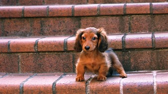 点击鼠标右键即可保存