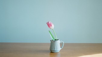 点击鼠标右键即可保存