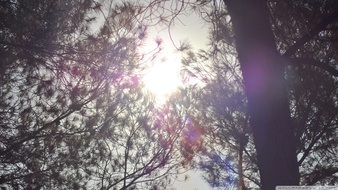 点击鼠标右键即可保存