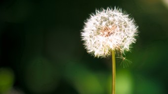 点击鼠标右键即可保存
