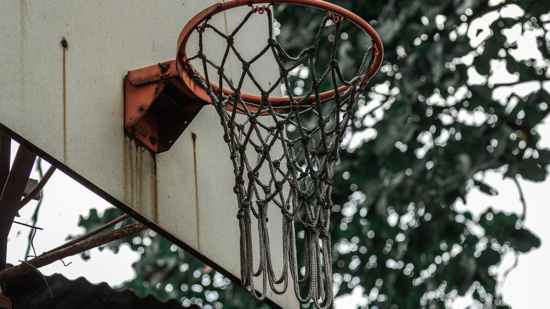 NBA篮球巨星高清壁纸-千图网