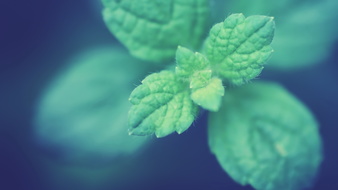 点击鼠标右键即可保存